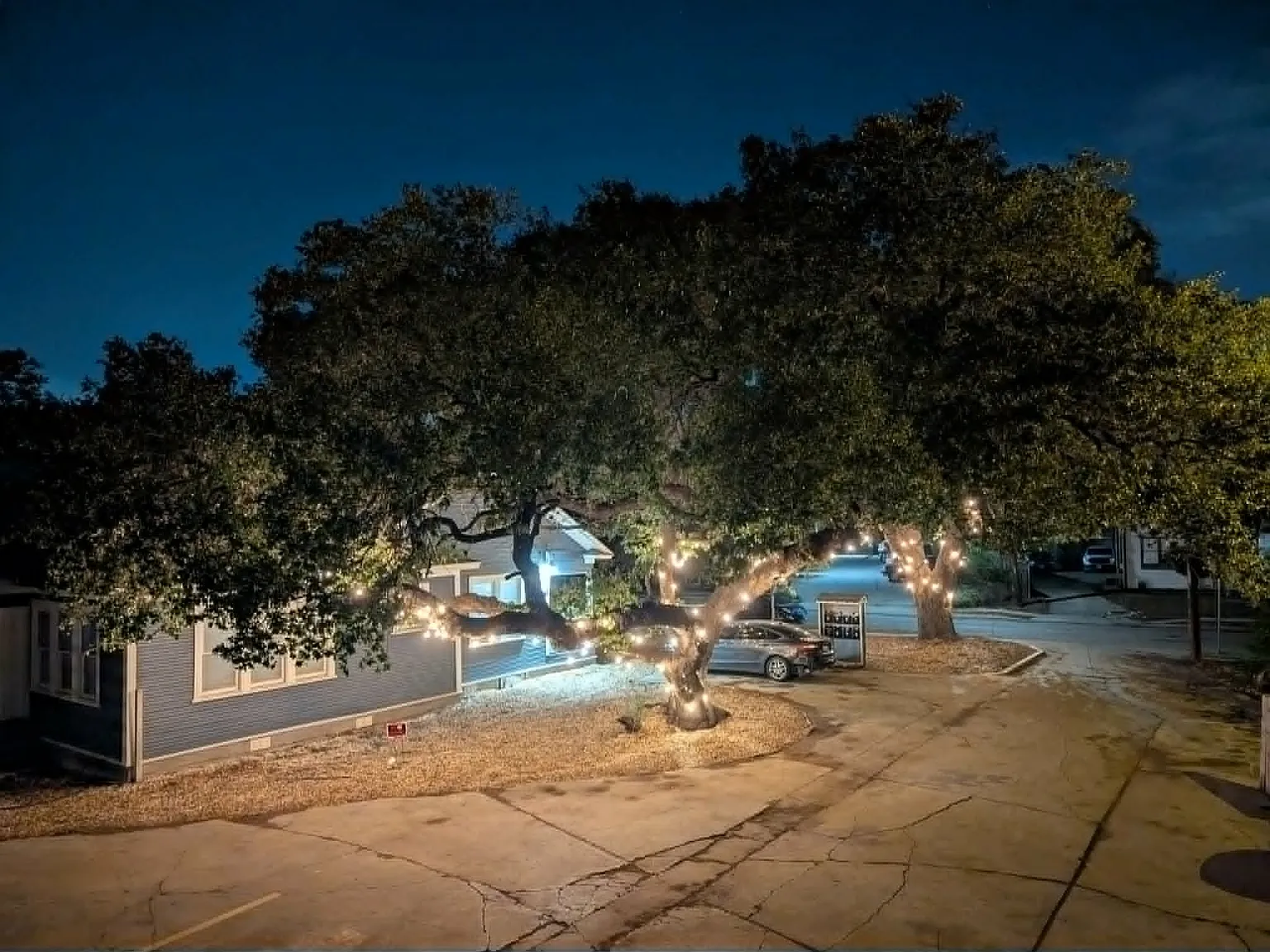 1 bed, 500 sqft, $975 — Photo 3