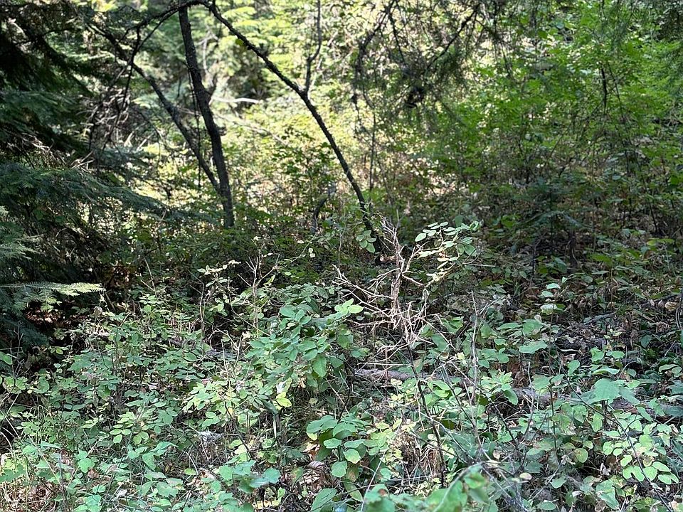 2nd image of Lots 17 18 Lillooet Dr