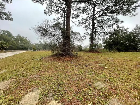 11850 SE 82nd St #3, Morriston, FL 32668