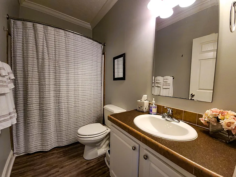 Hallway bathroom