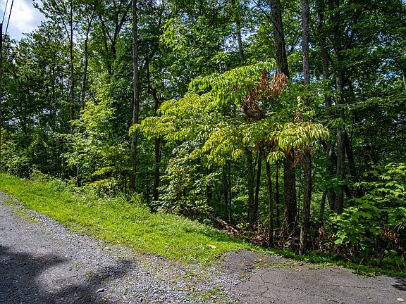 3rd image of LOT A965 N Dogwood Ln