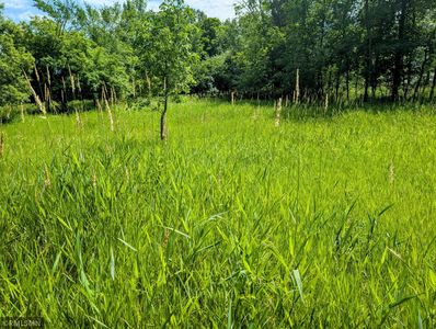 Xxx 3rd Ave SW, Long Prairie, MN, 56347