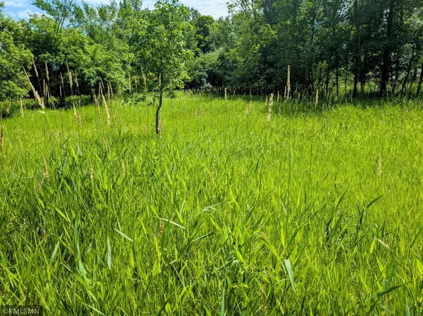 Xxx 3rd Ave SW, Long Prairie, MN 56347