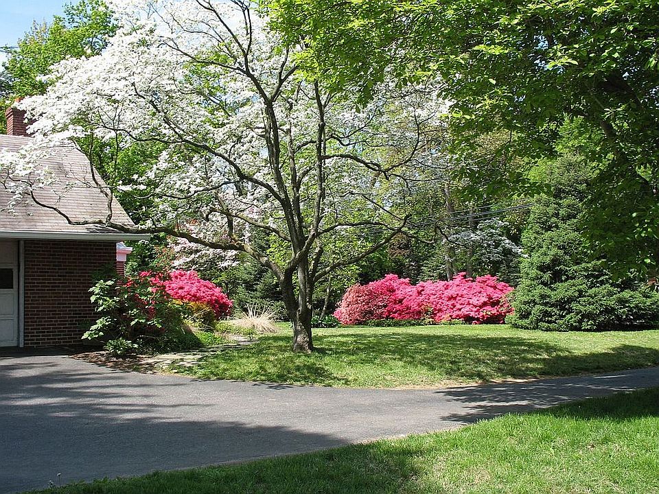 Front Yard 2