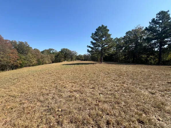 000 Deer Trail Drive, Pineville, MO 64856