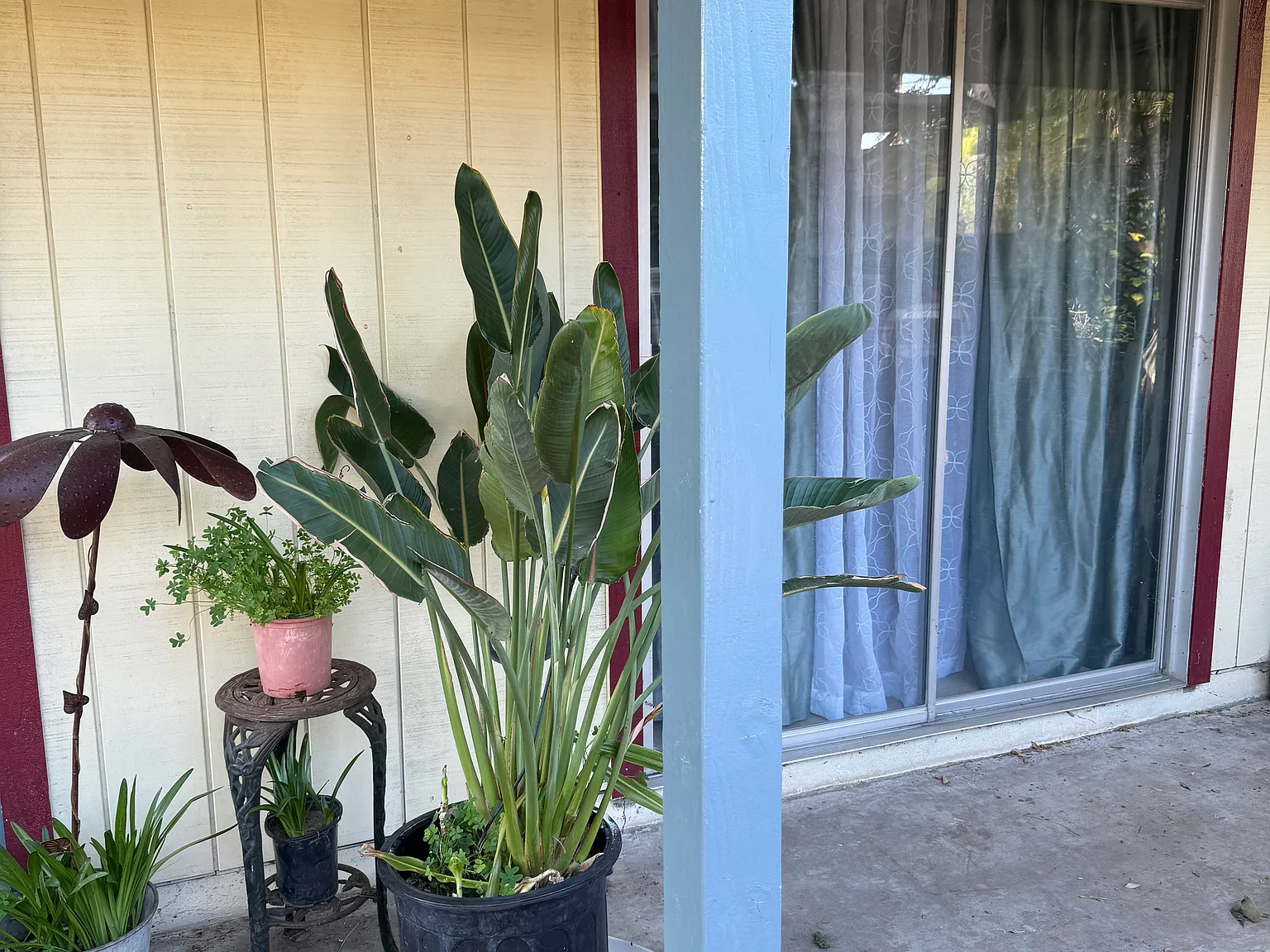 3730 Shamrock Ave — Photo 2