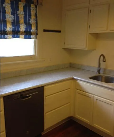 Kitchen sink and dishwasher