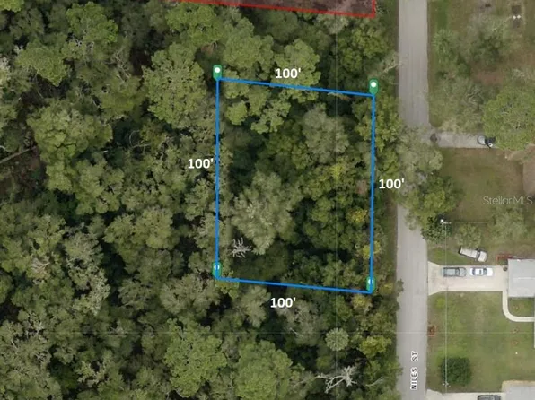 31637 Niles St, Sorrento, FL 32776