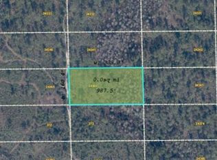 Dill Rd Lot 640, Orlando, FL 32820