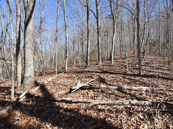 4th image of 116 Lindera Ln
