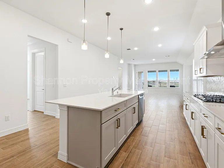 19131 Pink Grapefruit St — Photo 8