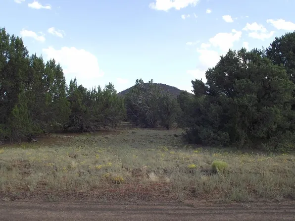 1298 E Ventura Ave, Williams, AZ 86046