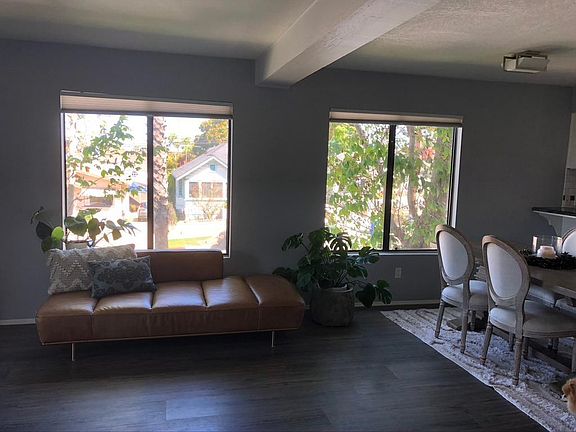 North facing windows in living room