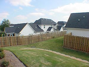 Backyard view