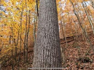 Saint Tide Hollow Rd, Newport, TN 37821