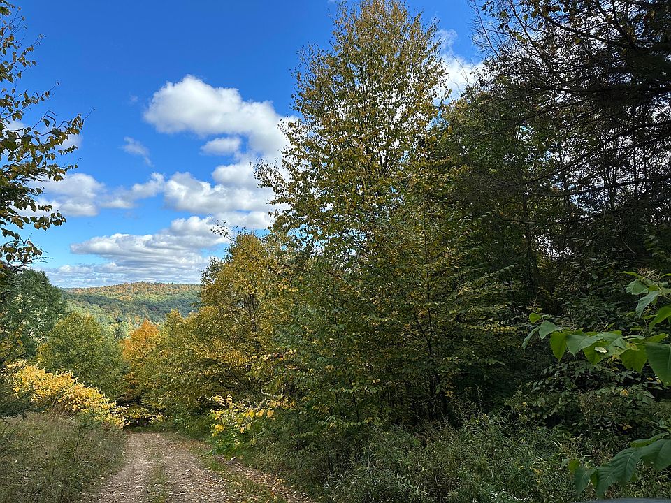 0 Fox Run Rd, Mahaffey, PA 15757 Zillow
