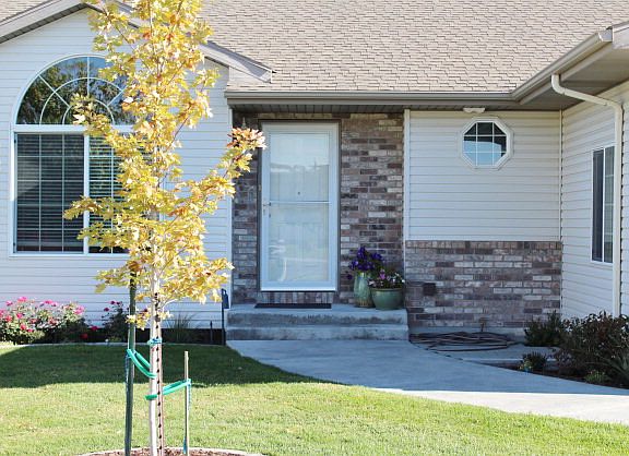 3rd image of 1109 S Kingswood Cir