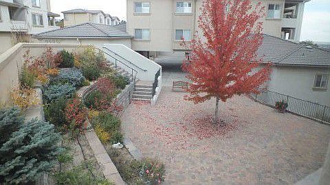 View from one bedroom