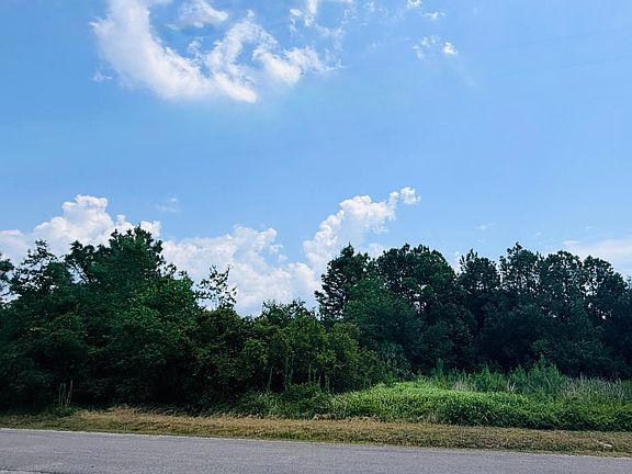 5th image of 125 Dogwood Rd