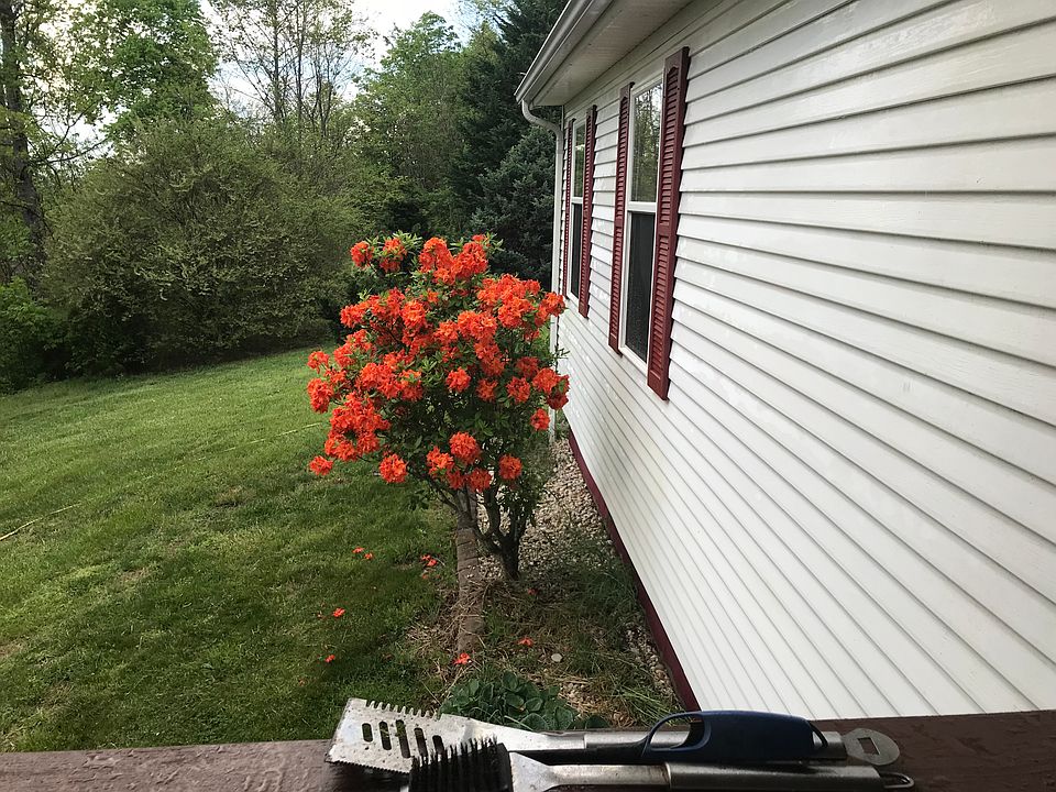 2nd image of 374 Greenhouse Ln