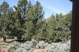 3rd image of 1381 W Winter Quarters Trl