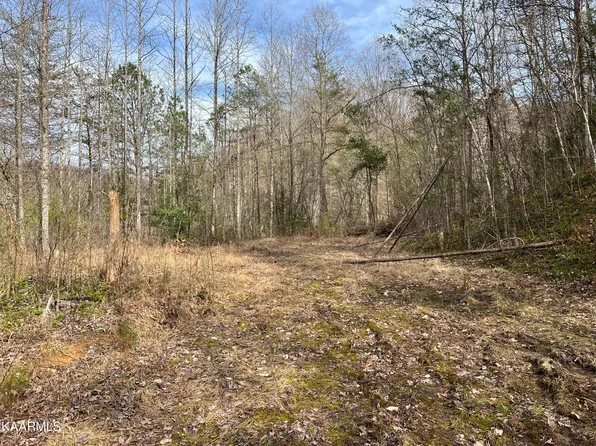 Roses Creek Rd, Clairfield, TN 37715