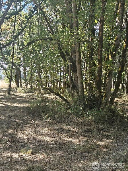 3rd image of 144 Dowling Road