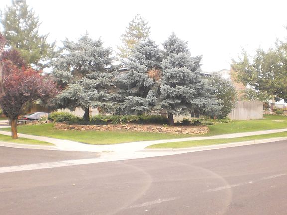 front and side yard