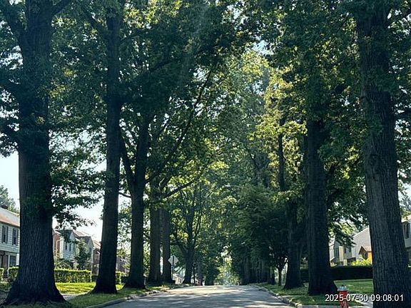 Exterior Neighborhood (street photo)