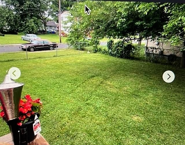 back yard