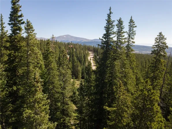 630 Puma Pl, Fairplay, CO 80440