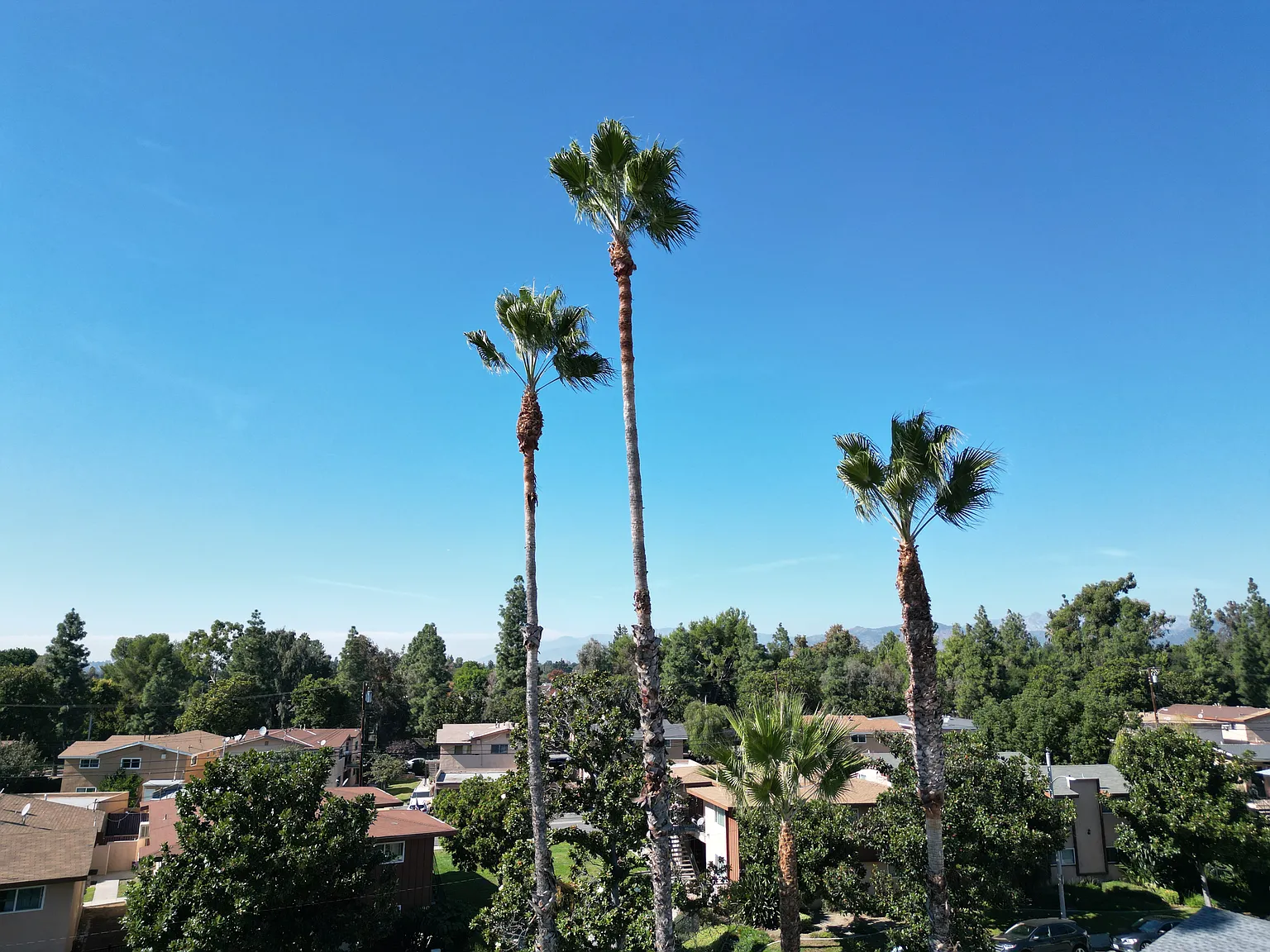2 bed, 900 sqft, $2,095 — Photo 2