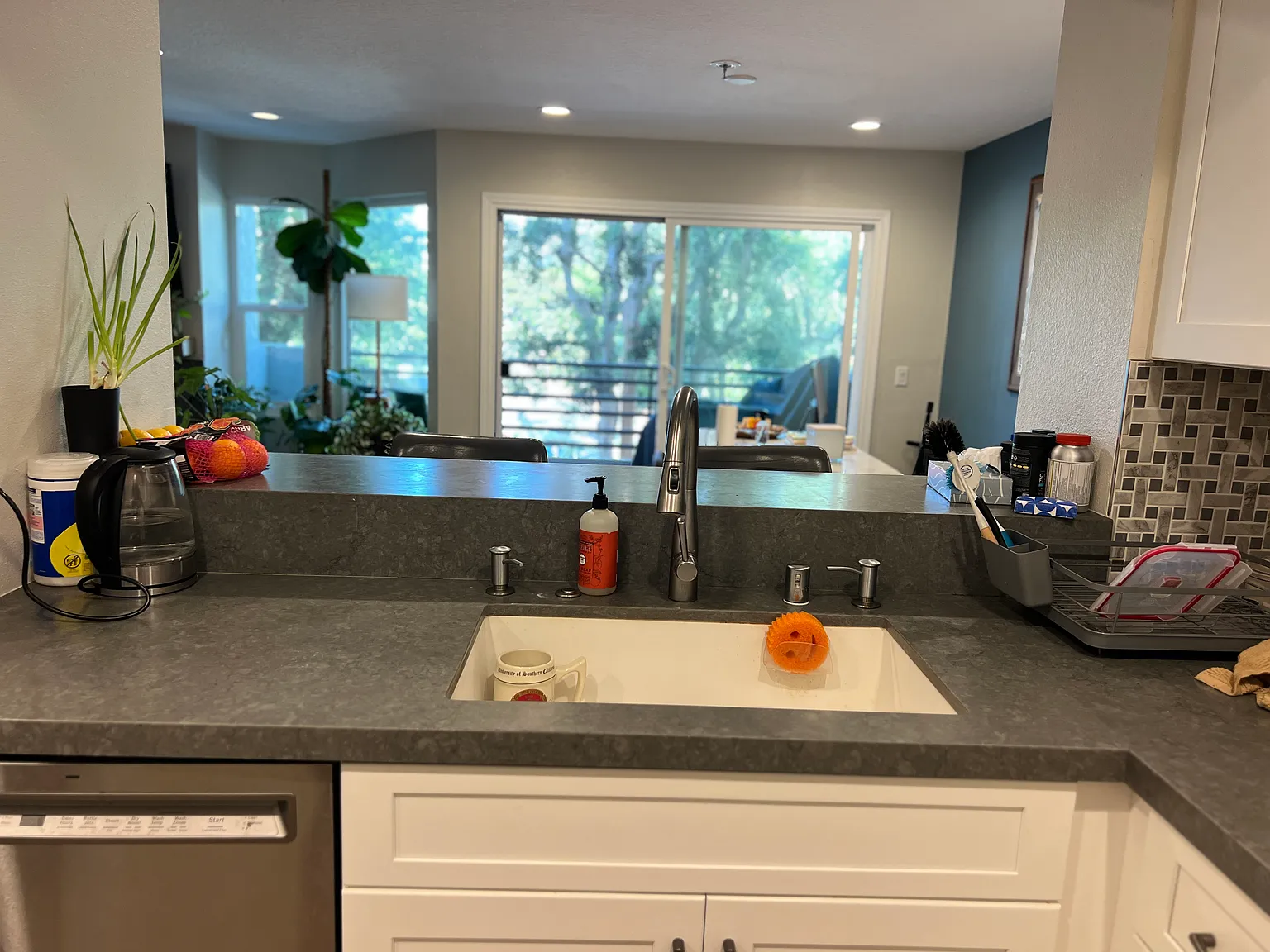240 Nice Ln — Photo 2