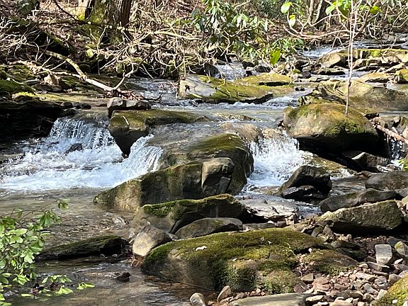 4th image of 126 Kelly Creek Rd