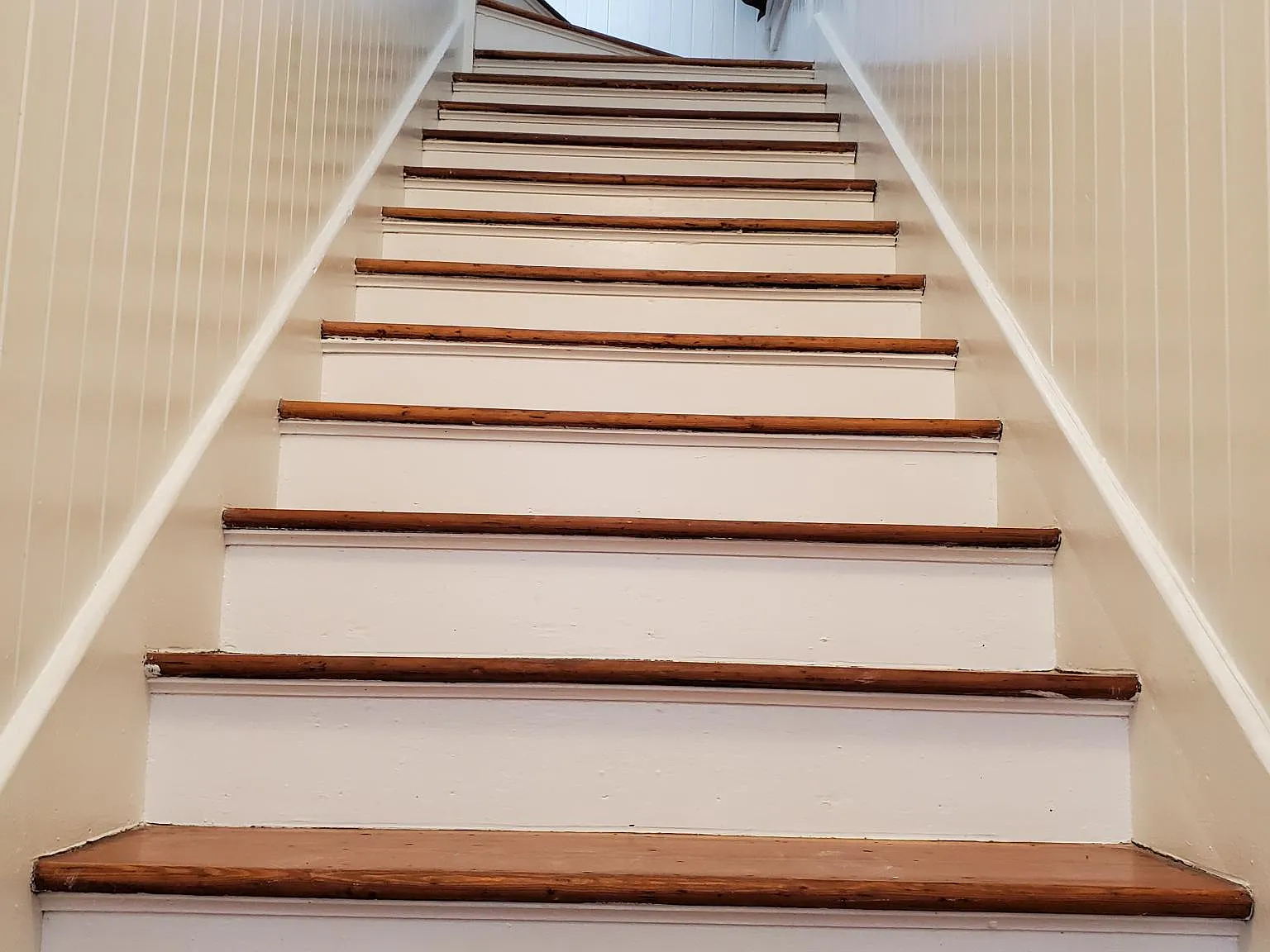 3 bed, 1800 sqft, $1,900 — Photo 4