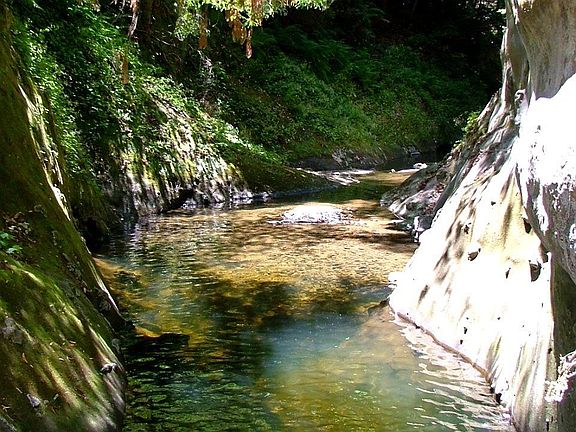 access to Bear Creek
