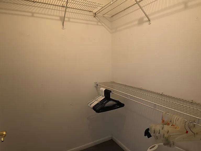 Primary Walk-in Closet
