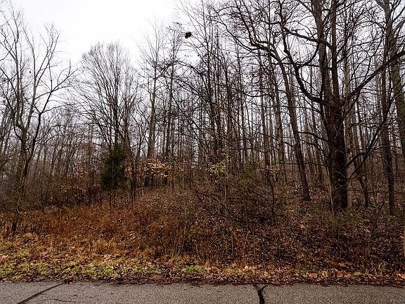 4th image of 1550 Fox Hollow Dr