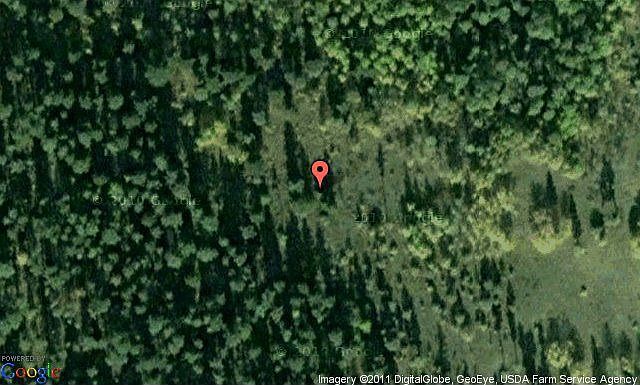 Map View