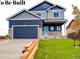 1123 Dawner Ln, Milliken, CO 80543