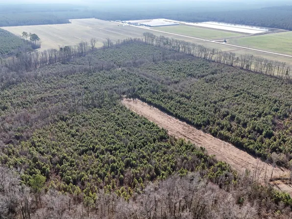 Off Sr 1951, Blounts Creek, NC 27814