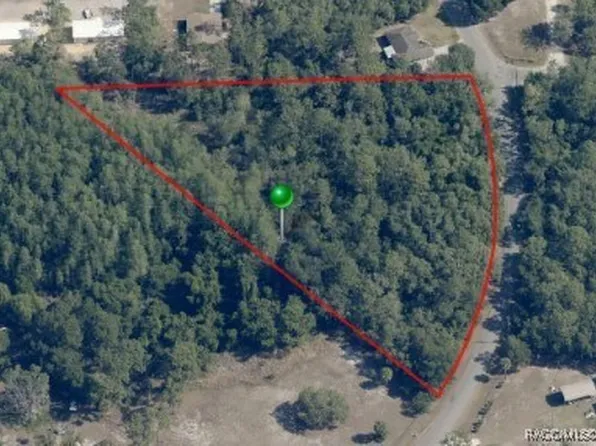 6154 S Lewdingar Dr, Homosassa, FL 34446