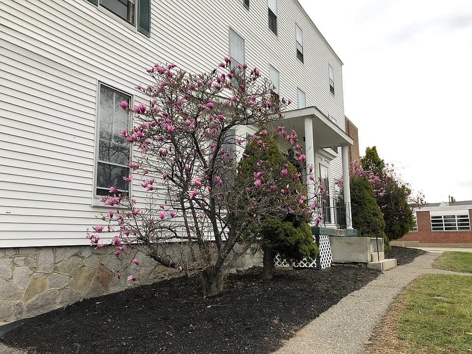 274 Amherst St #10