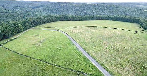 5th image of 542 Bane Cutoff Rd