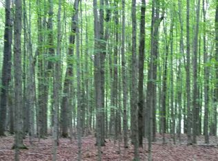 3058 County Rd #15A, Birdsall, NY 14884