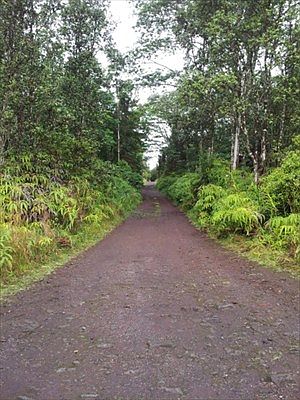 4th image of 16-1517 Poouli Rd #5780