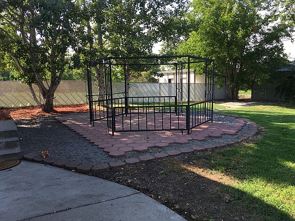 Back yard