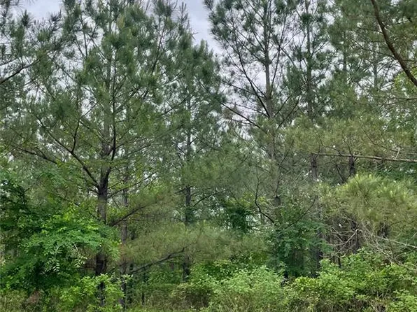 681 Timber Creek Trl, Broken Bow, OK 74728