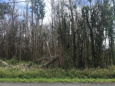 Malama St Lot 35, Pahoa, HI, 96778