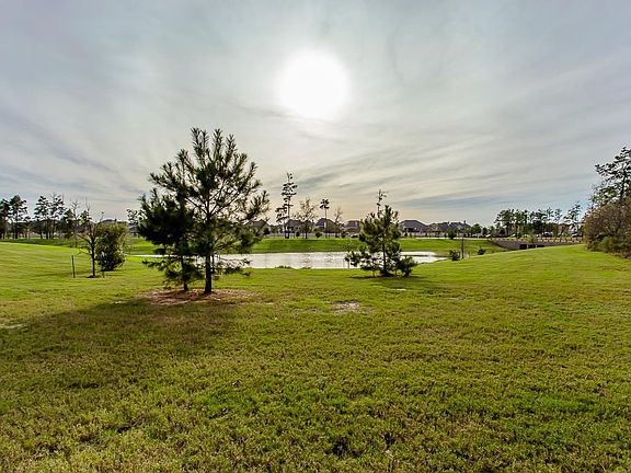 Neighborhood pond across the street on a wooded reserve.
